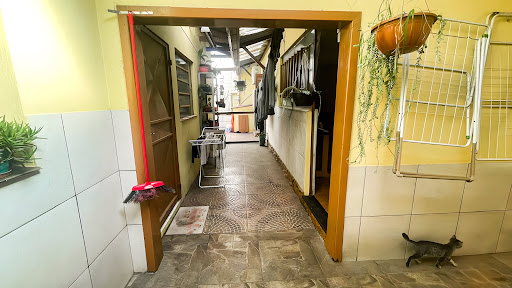 Casa na Várzea com 3 dormitórios e pátio - Foto 17