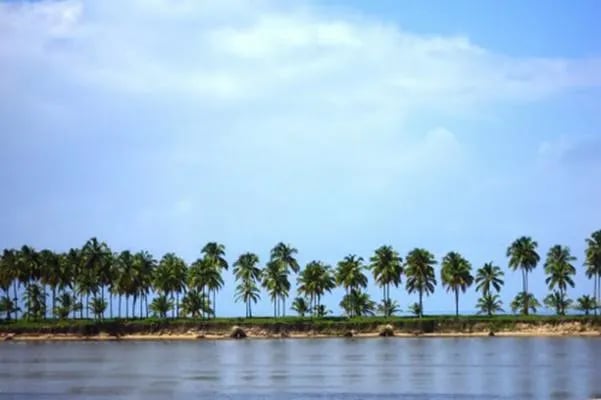 Residencial Residence Park - Foto 16