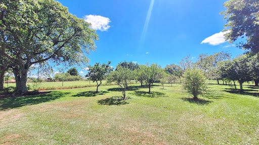 Chácara em São José da Reserva com 7,86 hectares - Foto 20