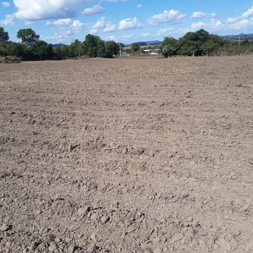 2 hectares - Cerro Alegre Baixo - Foto 5