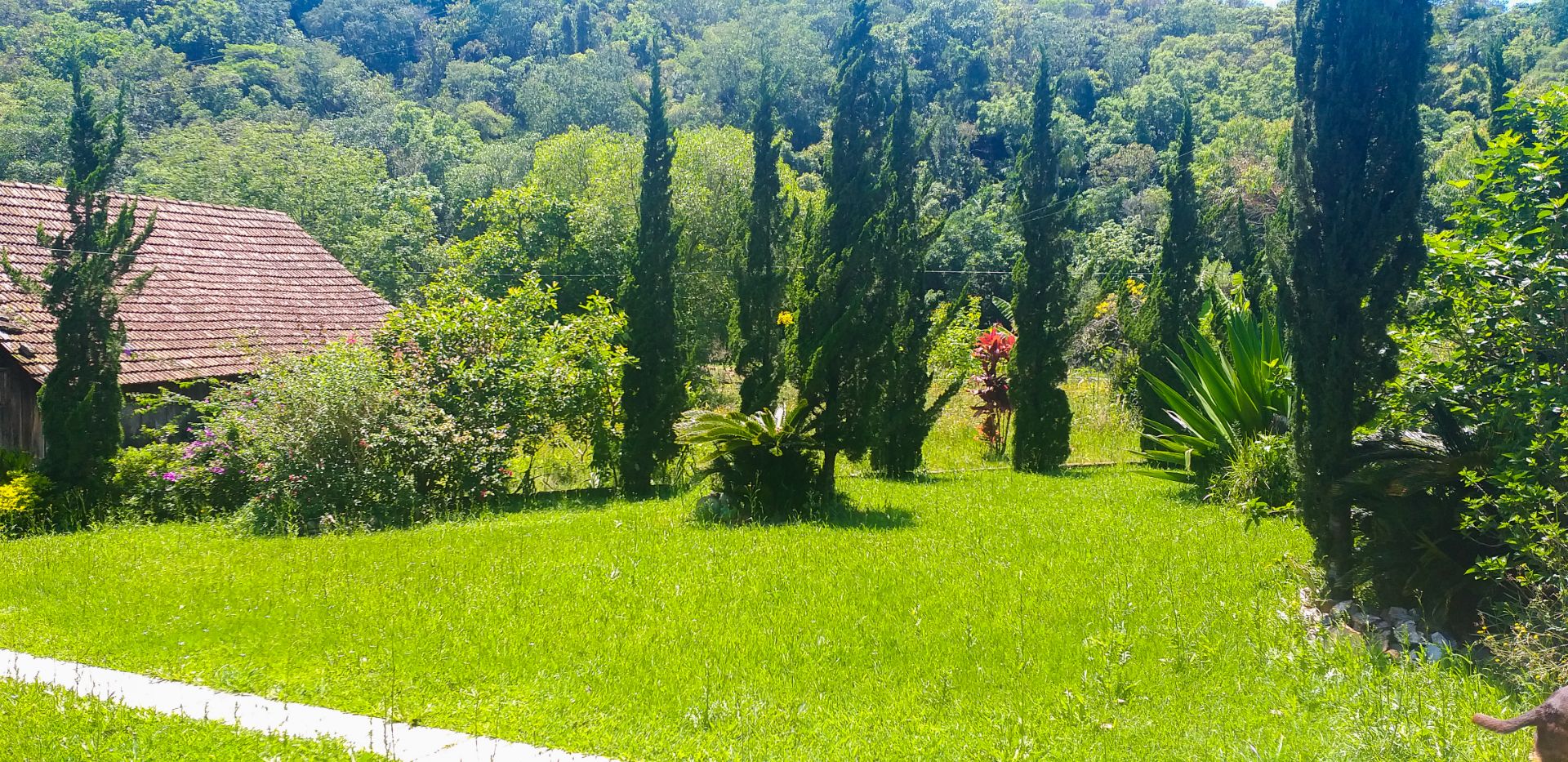 Bela Chácara em Monte Alverne com 12,6ha - Foto 9