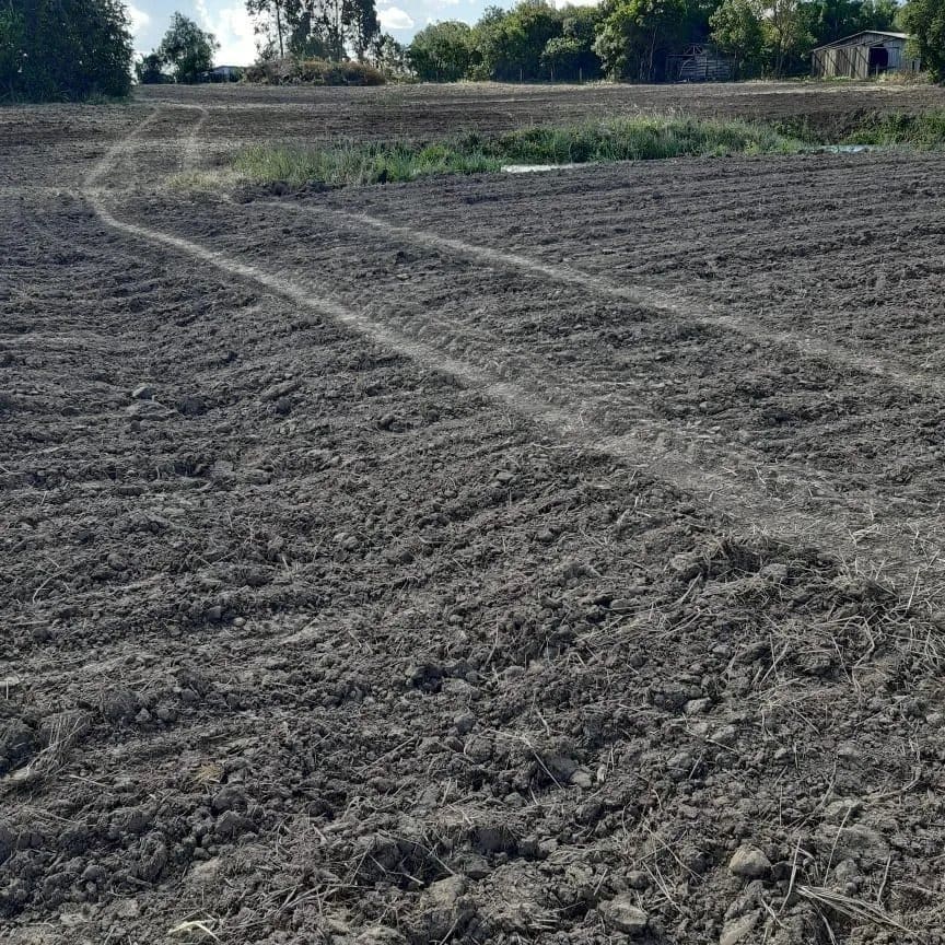 2 hectares - Cerro Alegre Baixo - Foto 4