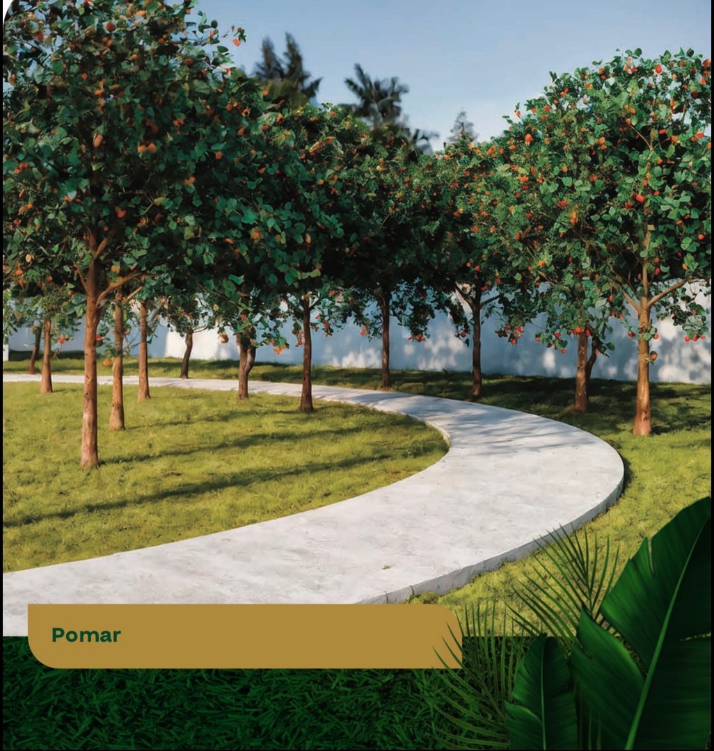 CASA SOLTA 2/4, suíte e quintal  - Foto 13