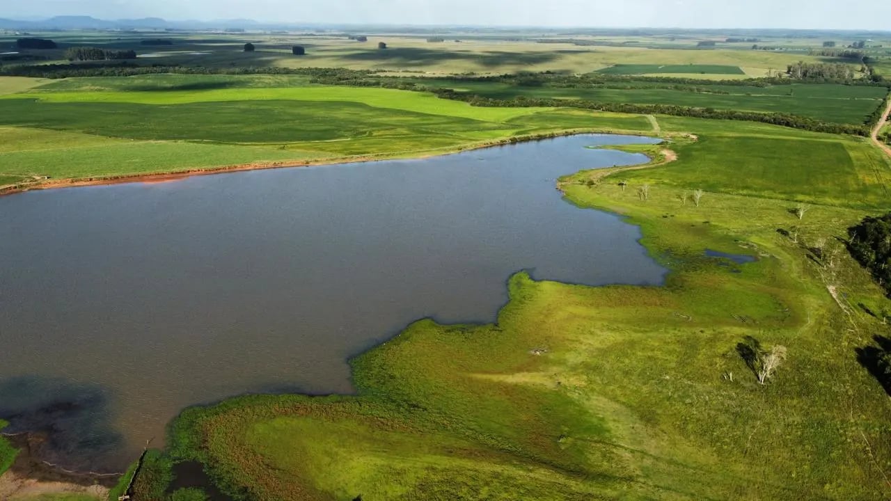 178 hectares - Vale Verde - Foto 4