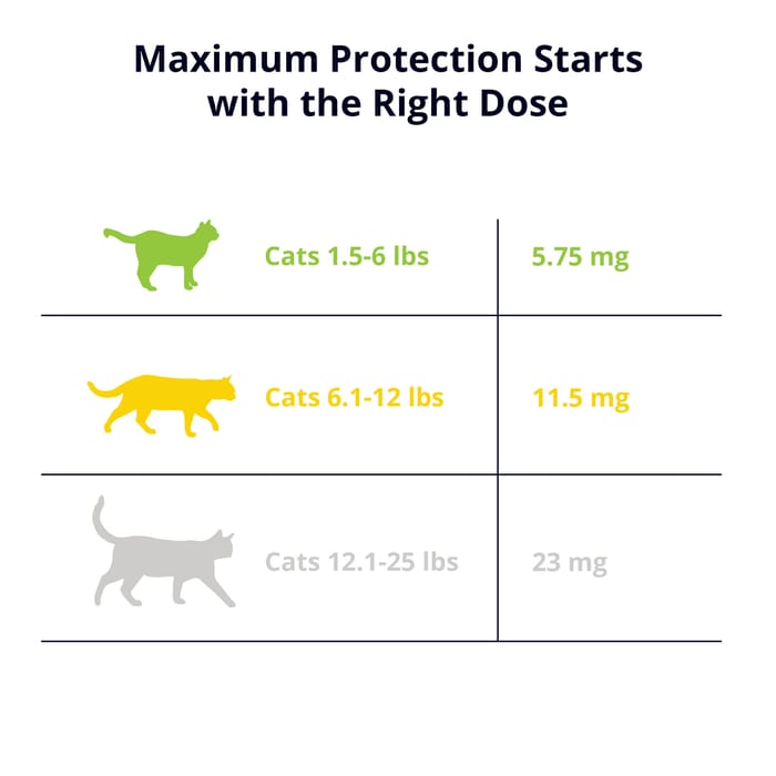 10014 product detail number 1.0