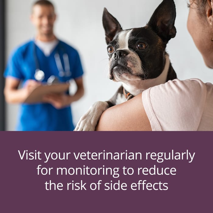 10035 product detail number 1.0