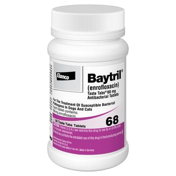 Baytril Taste Tabs 68 mg (sold per tablet)-product-tile