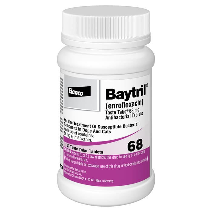 Baytril Taste Tabs 68 mg (sold per tablet) product detail number 1.0
