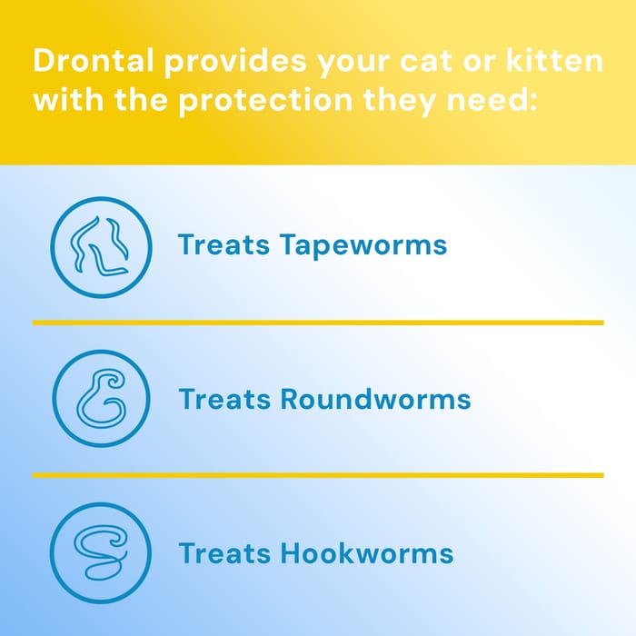 10073 product detail number 1.0