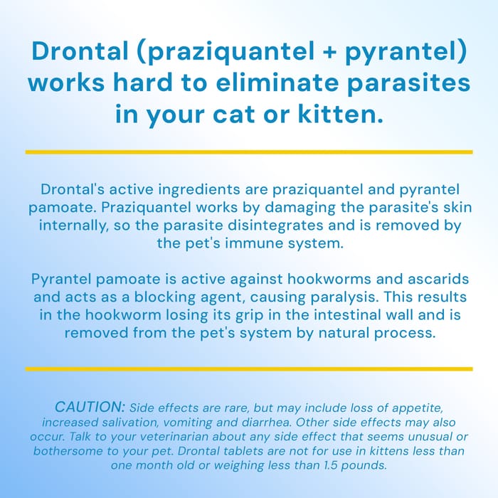 10073 product detail number 1.0