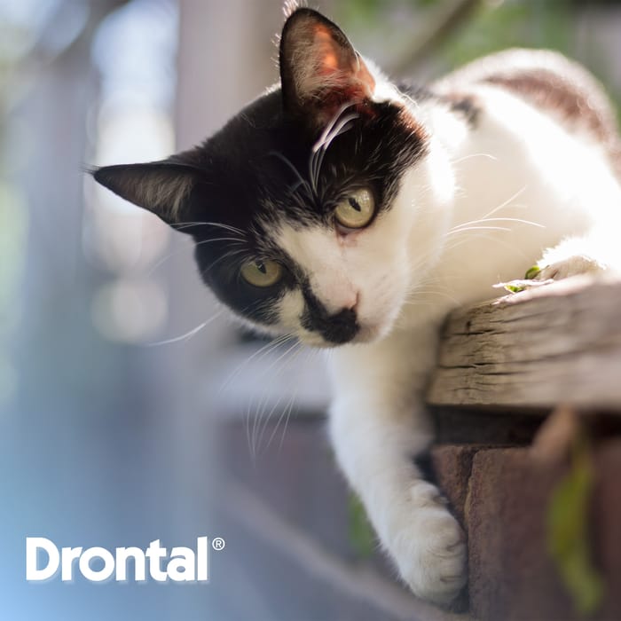 10073 product detail number 1.0