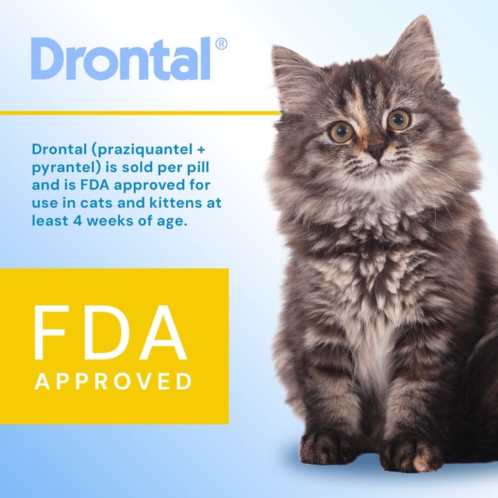 10073 product detail number 1.0