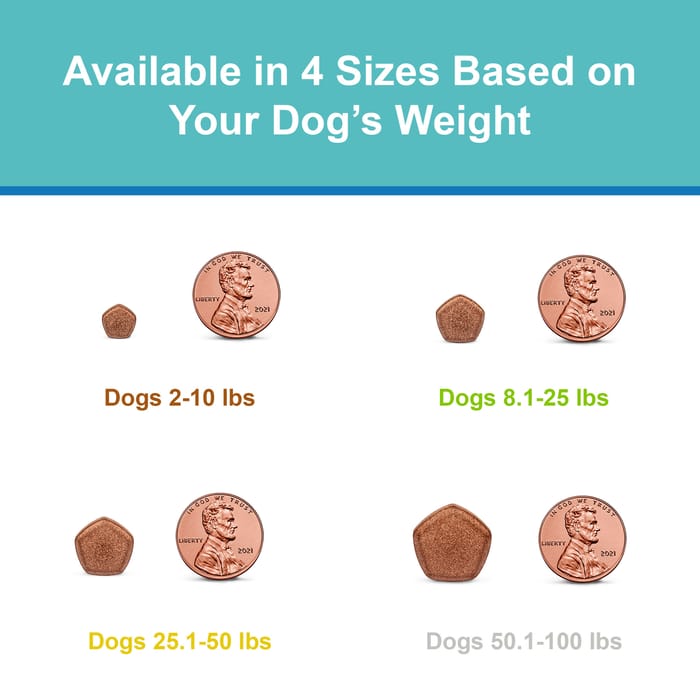 10118 product detail number 1.0