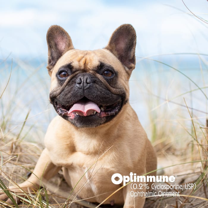 10162 product detail number 1.0