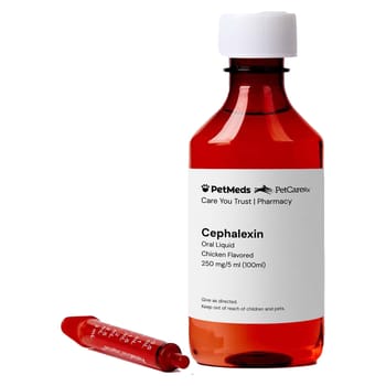 Cephalexin Liquid 250 mg/5 ml 100 ml Bottle-product-tile