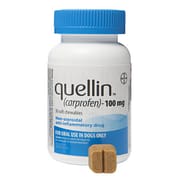 Quellin Carprofen Soft Chew - Generic to Rimadyl 100 mg chewables 60 ct