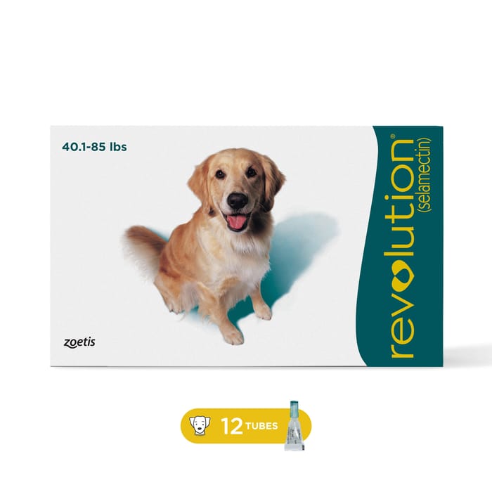 Revolution 12pk Dog 40.1-85 lbs product detail number 1.0