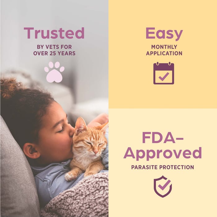 10364 product detail number 1.0