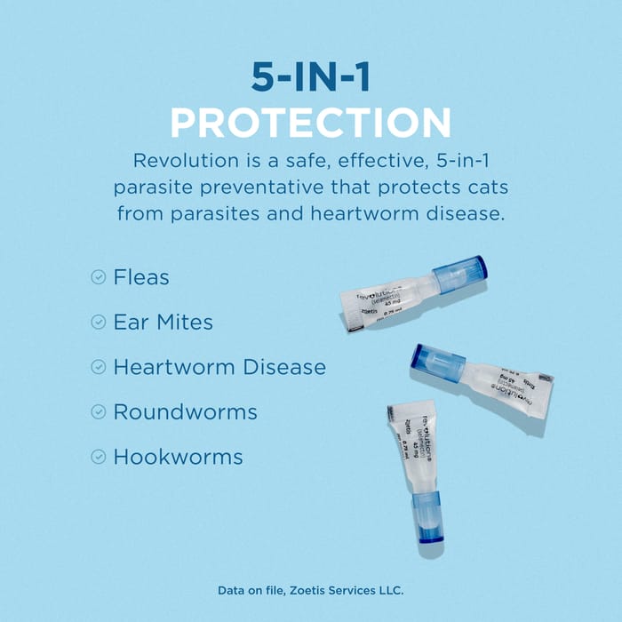 10365 product detail number 1.0