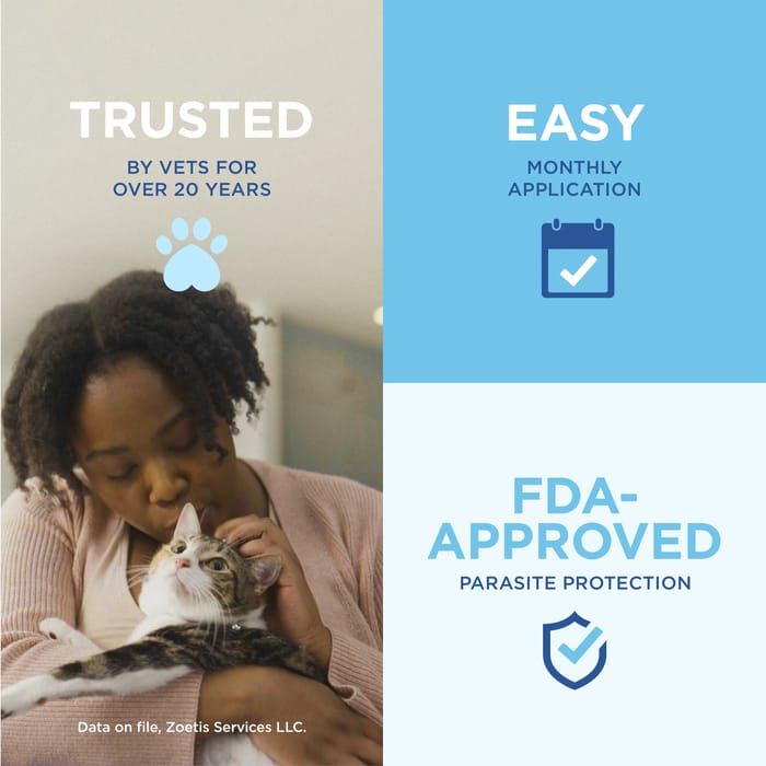 10365 product detail number 1.0