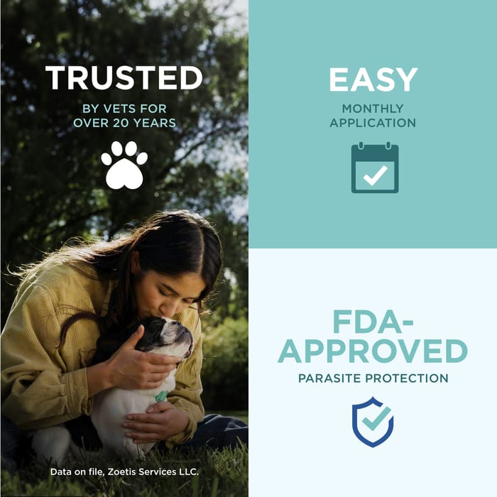 10366 product detail number 1.0