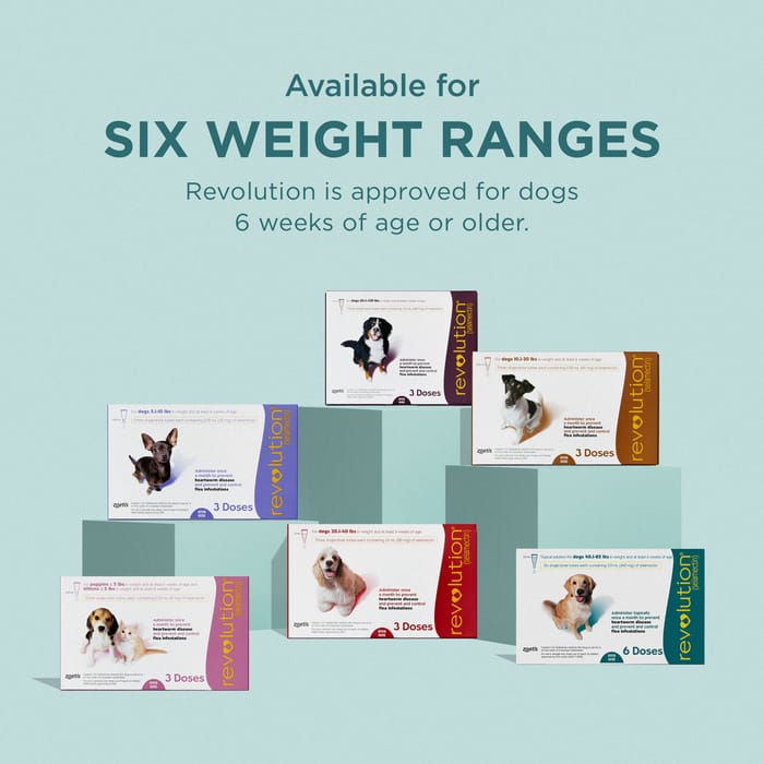 10366 product detail number 1.0