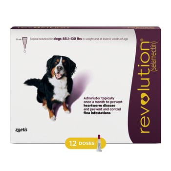 Revolution 12pk Dog 85.1-130 lbs-product-tile