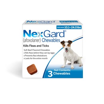 NexGard Chewables for Dogs - 10 to 24 lbs - 3 Doses-product-tile