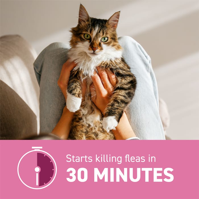 10325 product detail number 1.0