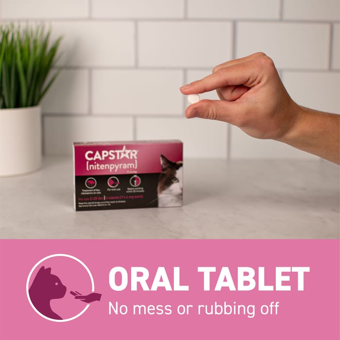 10325 product detail number 1.0