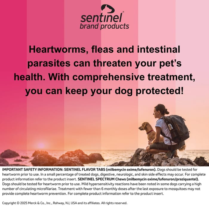 10388 product detail number 1.0