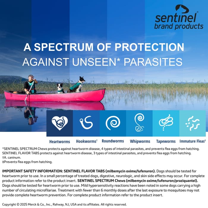 10388 product detail number 1.0