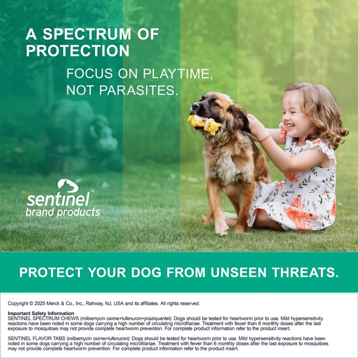 10388 product detail number 1.0