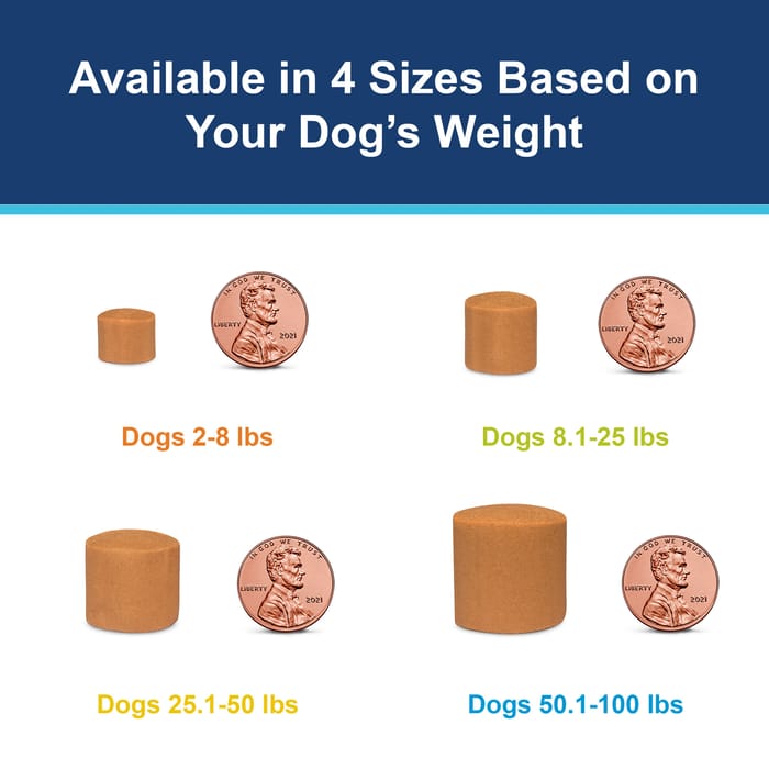 10388 product detail number 1.0