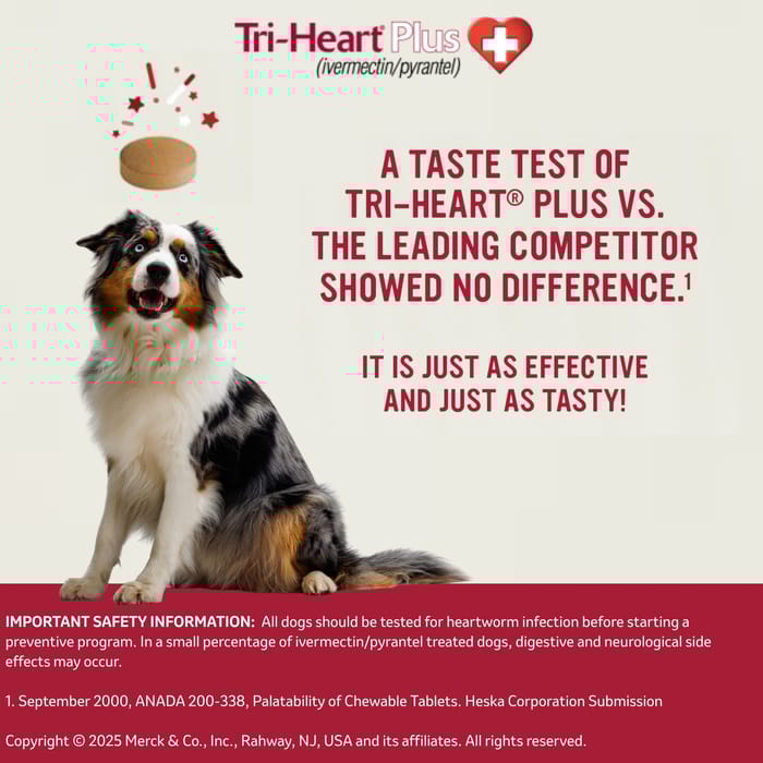 10411 product detail number 1.0