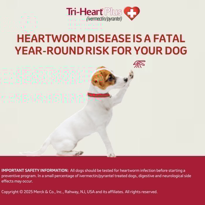 10411 product detail number 1.0