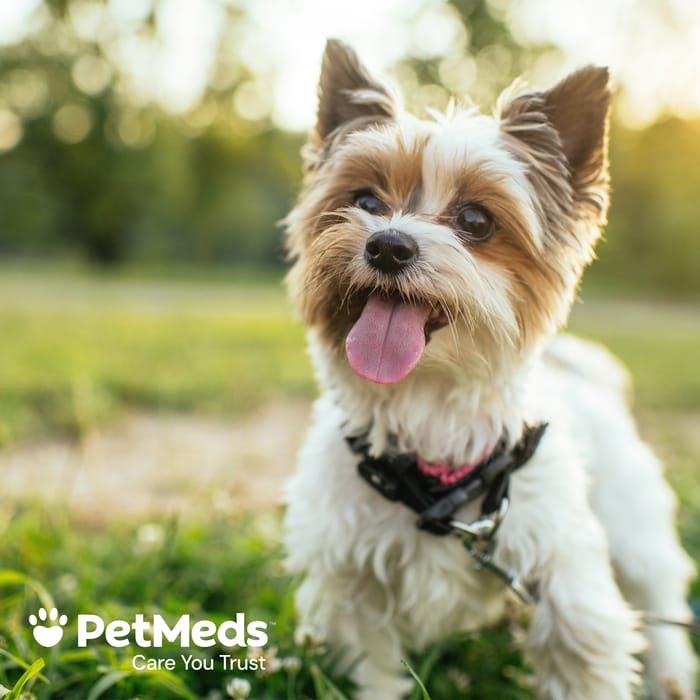 10466 product detail number 1.0