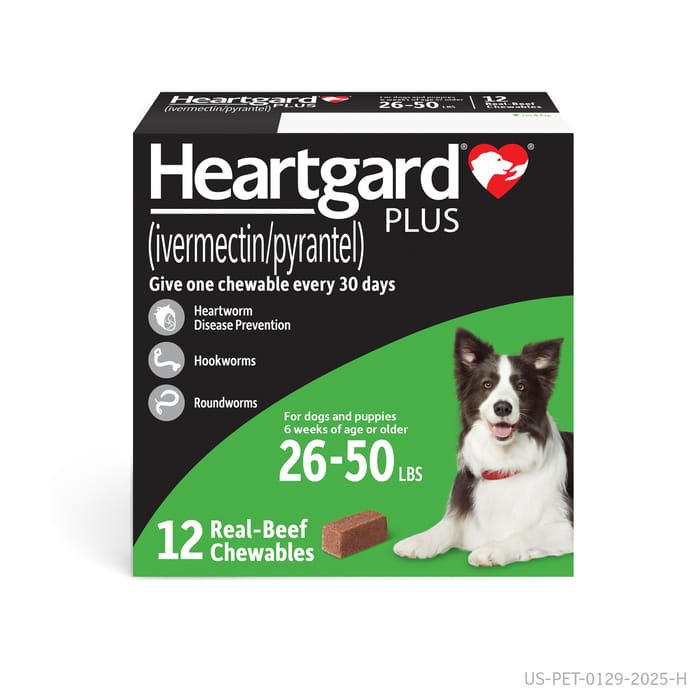 HEARTGARD® Plus (ivermectin/pyrantel) Real-Beef Chewables for Dogs - 26-50 lbs (Green Box) 12 Month Supply of Chews (Heartworm Disease Preventive) product detail number 1.0