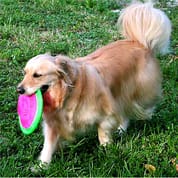 Booda Tail-Spin Flyer