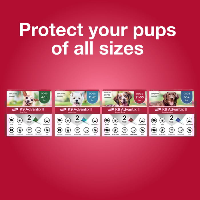 10631 product detail number 1.0