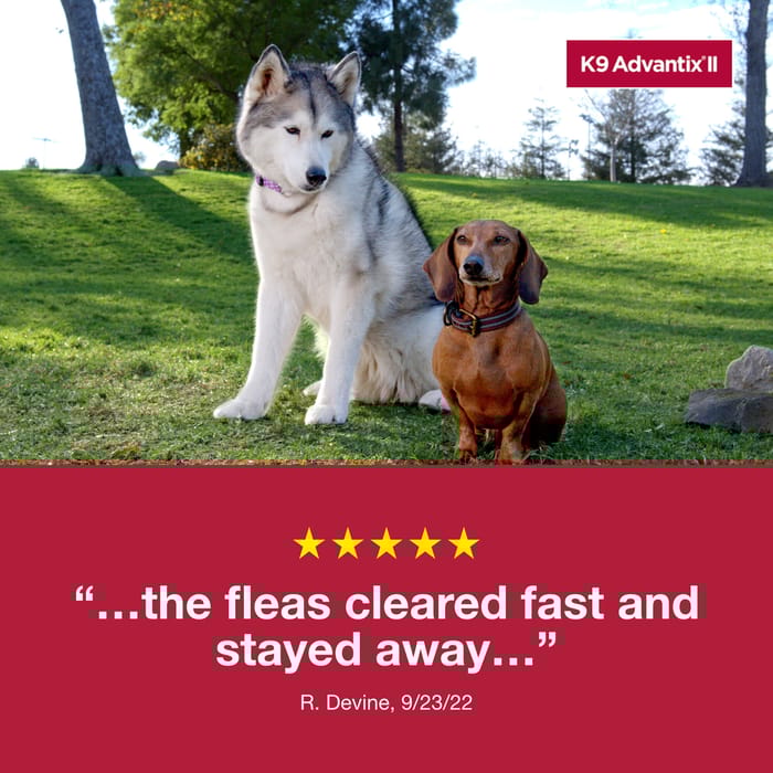 10631 product detail number 1.0