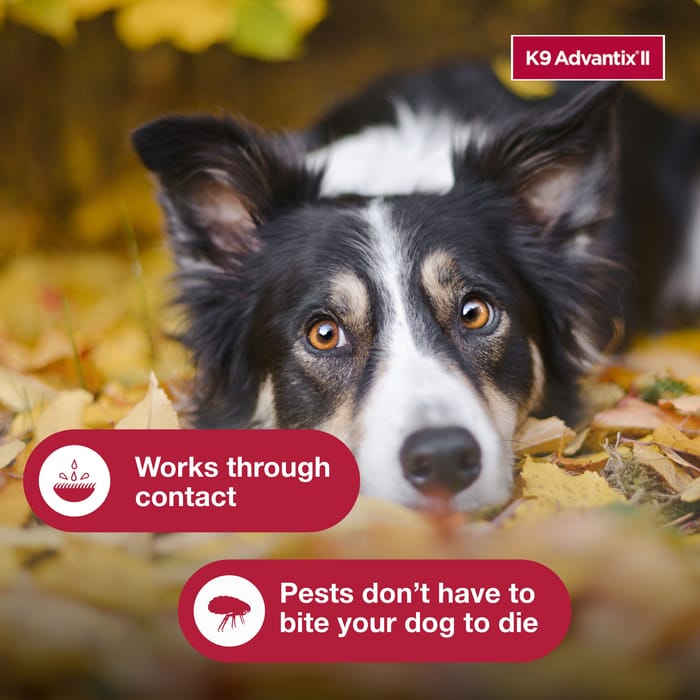 10631 product detail number 1.0