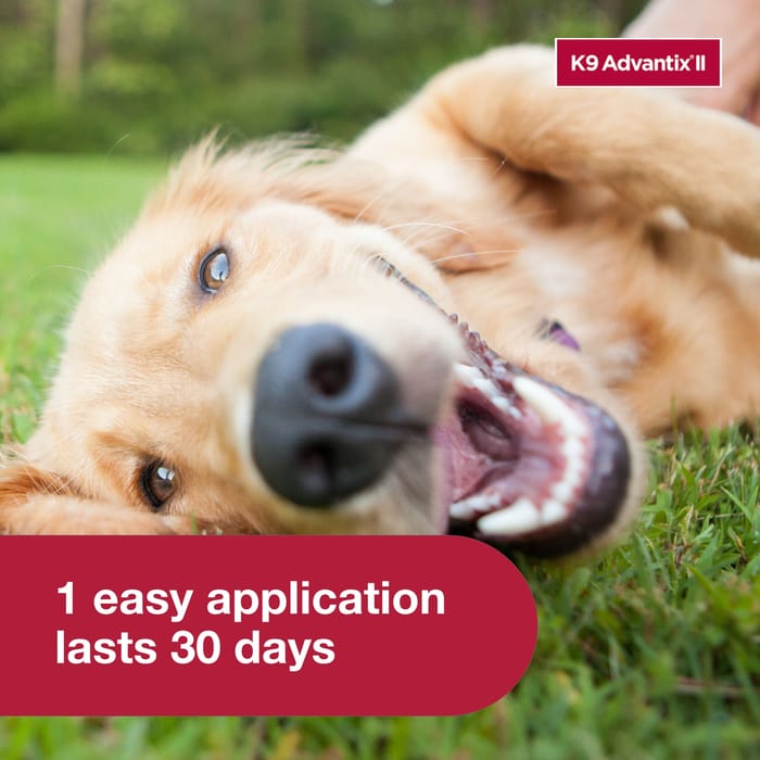 10631 product detail number 1.0