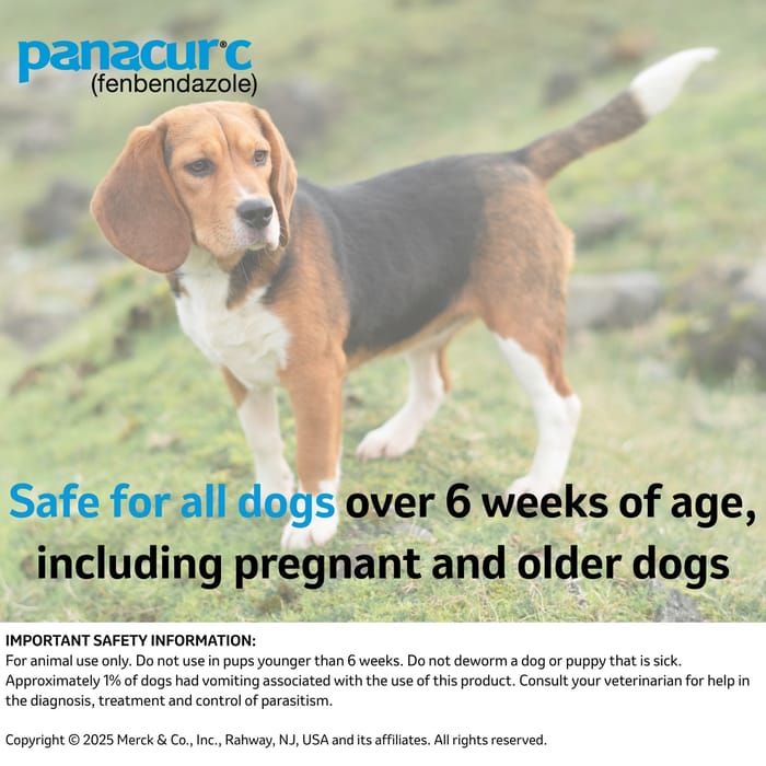 10672 product detail number 1.0