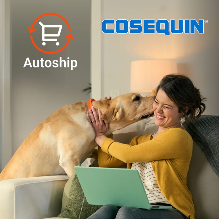 thumbnail image 2 of Cosequin DS Joint Health Chews For Dogs With MSM & HA – 180 Count, Free Shipping 2 of 3