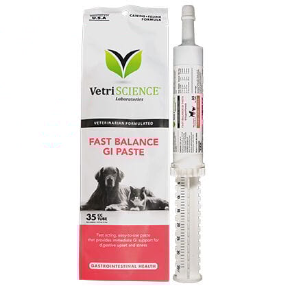 Fast Balance GI Paste 35 cc Tube product detail number 1.0