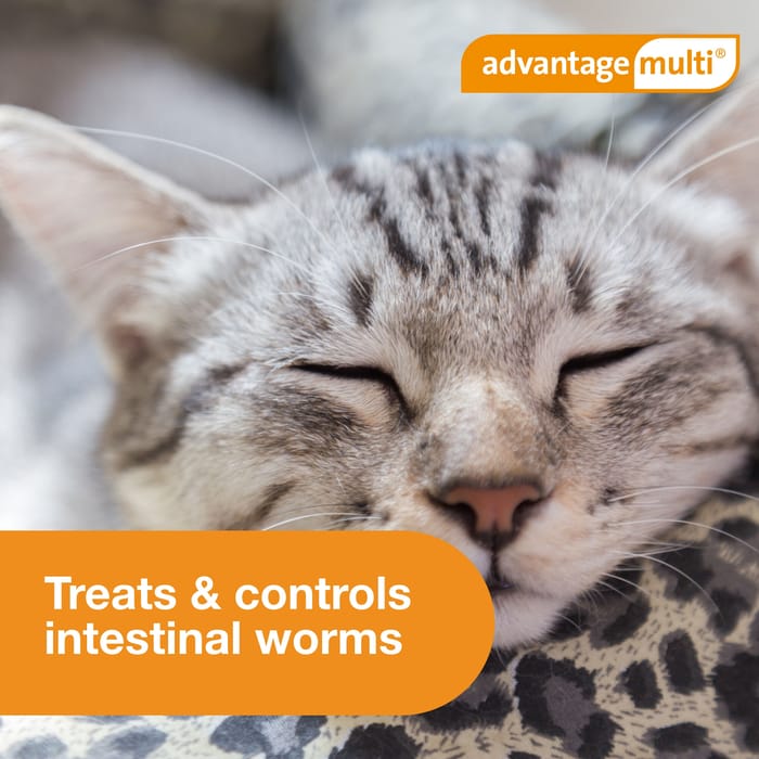 10943 product detail number 1.0