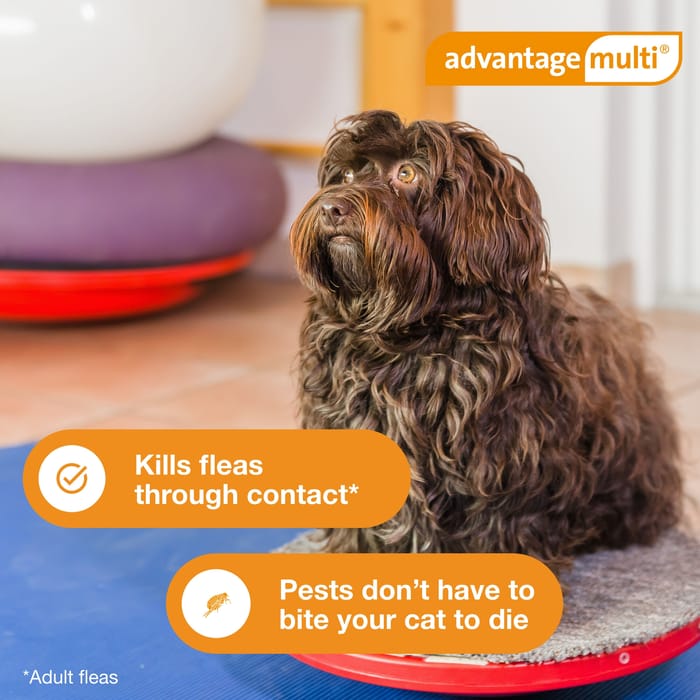 10943 product detail number 1.0