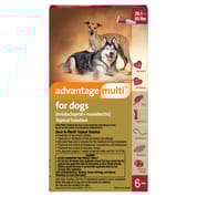 Advantage Multi 6pk Dogs 20-55 lbs 1800PetMeds