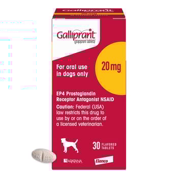 Galliprant Osteoarthritis Treatment Chewable Tablets for Dogs - 20 mg, 30 ct-product-tile